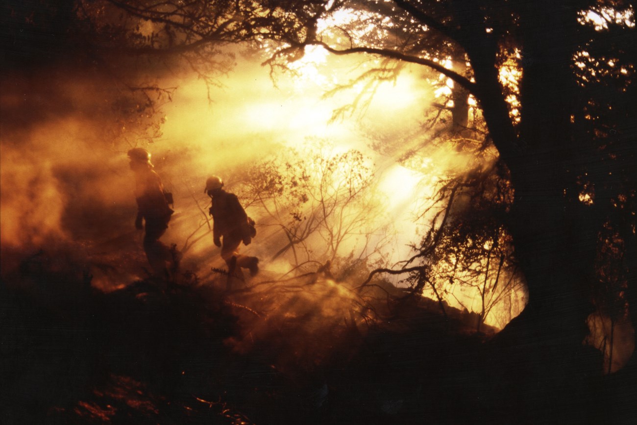 Two wildland firefighters walk through a smoke-filled forest as low-angle light illuminates some of the smoke.