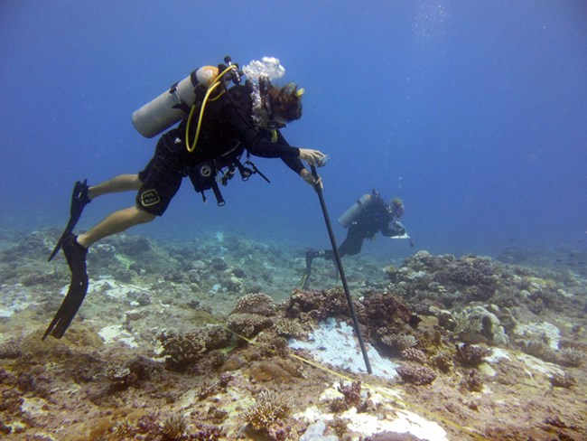 Two SCUBA divers with poles and cameras inspecting bleached coral.
