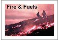 A small image of the cover of the Fire & Fuels newsletter, featuring two wildland firefighters among flames.