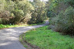 Inverness Rd Point Reyes FIRESafe MARIN Projects Inverness - Point Reyes National Seashore (U.S ...
