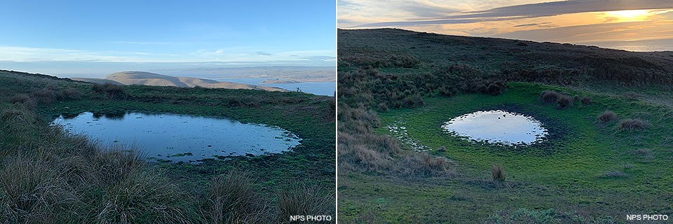 Two side-by-side photos of two small ponds surrounded by low-growing green vegetation.
