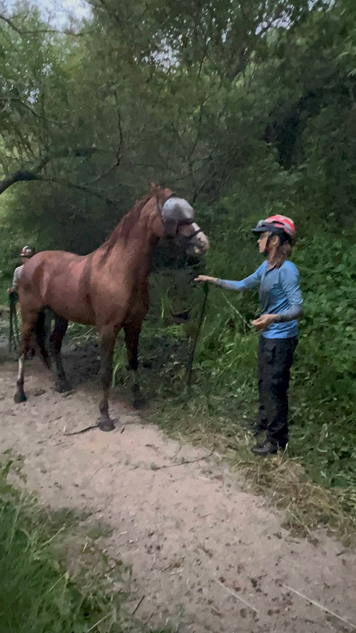 A woman in a blue shirt and red helmet stands next to a muddy horse in dim outdoor light