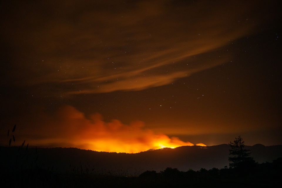 Wildfire. Photo by USFW / Kari Greer