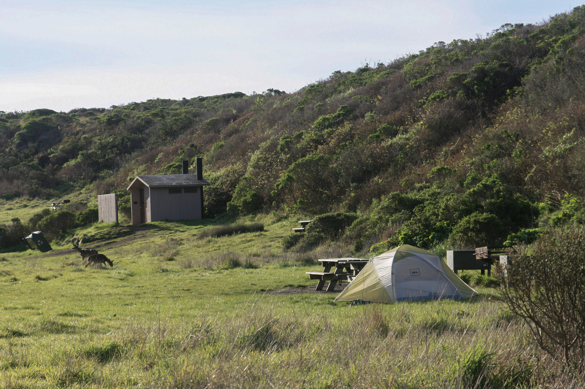 A yellow and gray tent in a grassy field to the left of a shrubby ridge. Deer are grazing a bit beyond the tent on the far left. Vault toilets are in the background. A yellow and gray tent in a grassy field to the left of a shrubby ridge. Deer are grazing a bit beyond the tent on the far left. Vault toilets are in the background.