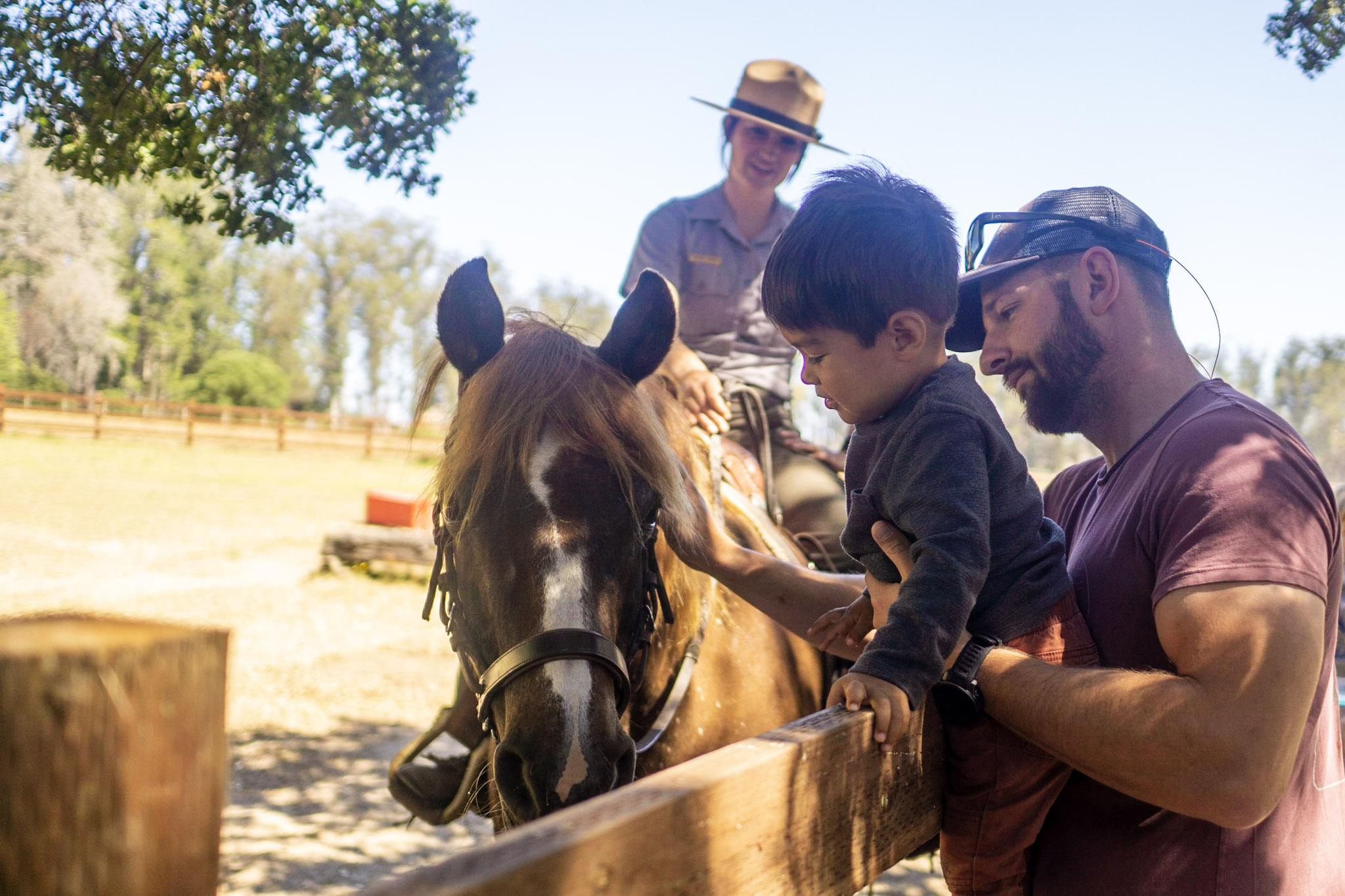 Visitors petting a Morgan horse on which a ranger sits. A man holds a small boy up over a wooden fence so that he can pet the head of a Morgan horse on which a female ranger sits.