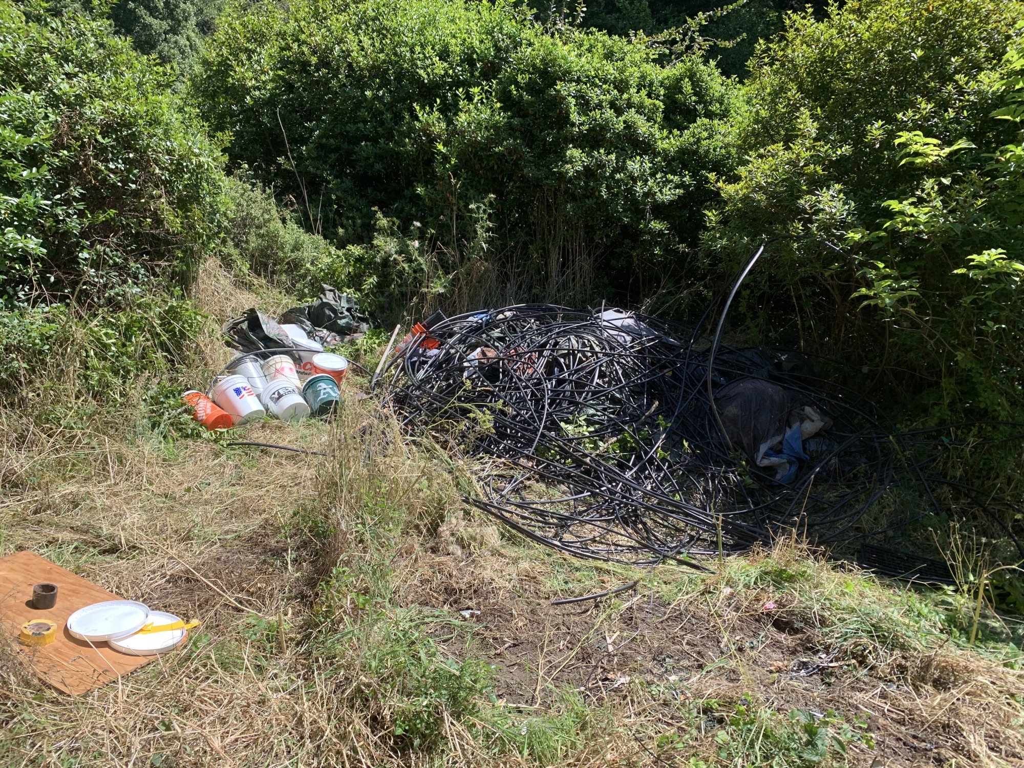 Piles of debris at an illegal marijuana grow site within Point Reyes National Seashore on March 8, 2023. Piles of black irrigation tubing and buckets surrounded by bushes.
