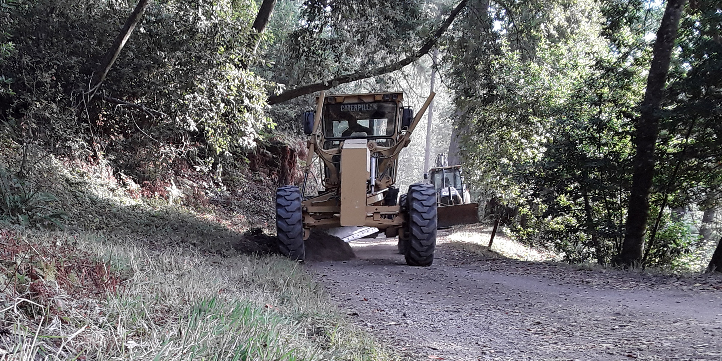 A road grader on Stewart Trail on October 18, 2022. A yellow road grader on a dirt road in a forest.