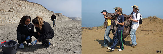 3 women pick up litter at a beach and 4 men carry a tarp across sand dunes.