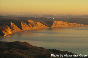 The highly productive Drakes Bay area in Point Reyes is slated to be a major marine protected area, much of it a marine reserve.