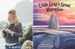 (L) Marta Lindsey holding binoculars and standing on a foggy shoreline. (R) Book cover of "Little Gray's Great Migration."
