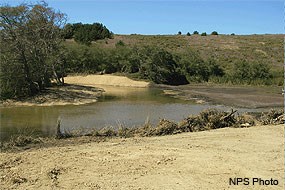 Muddy Hollow Fish Passage Restoration Project site, with high tide reaching past the former dam site at Muddy Hollow near Limantour Beach. Muddy Hollow Creek flows into the photo on the right side.