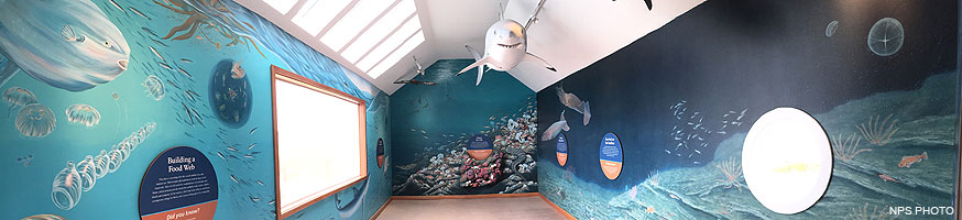 The interior of the Ocean Exploration Center. A three-dimensional model a white shark is suspended from the ceiling and murals depicting life below the surface of the ocean are painted on the walls.