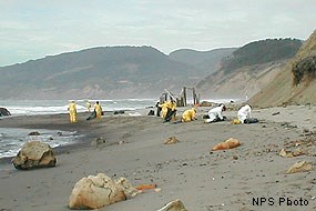 Six people wearing hazardous material suits clean oil from a beach.