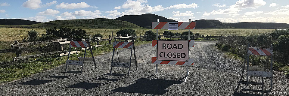 Road Closed signs at one of the entrances to the Abbotts Lagoon parking lot. A color photograph of four orange and white barriers blocking the entrance to a parking lot.