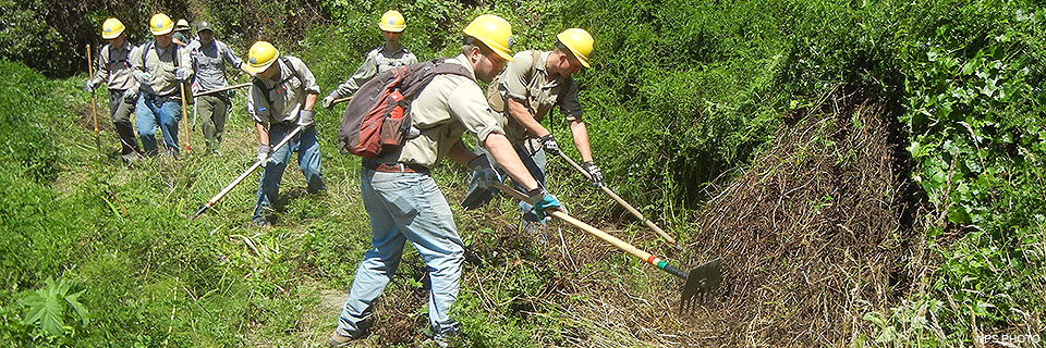 YCC crew members clearing brush along a section of Muddy Hollow Road Trail on August 1, 2013. Six YCC crew members and two park employees clearing brush along a trail using hand tools.