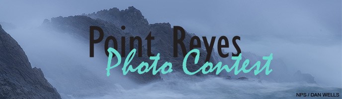 Banner for Anniversary photo contest Banner for Anniversary photo contest