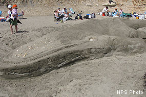 A large sand sculpture of a blue whale.