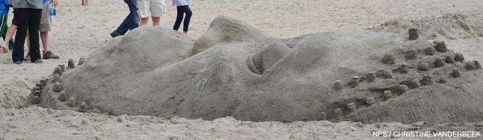 2013 Sand Sculpture Contest 1st Place Winner: Adult/Family Group Entry #12: King Darius, by Falipa Simpson and Lila Scott