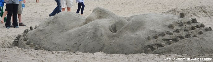 2013 Sand Sculpture Contest: Adult/Family Group 1st Place Winner: Entry #12: King Darius, by Falipa Simpson and Lila Scott