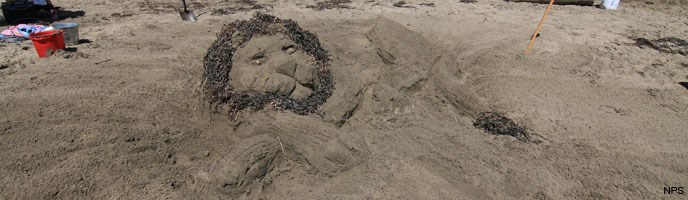 2015 Sand Sculpture Contest: Maggie Johnston Award for Creative Excellence Winner: Adult/Family Group Entry #31: Sea Lion, by the Selina Winstersteen