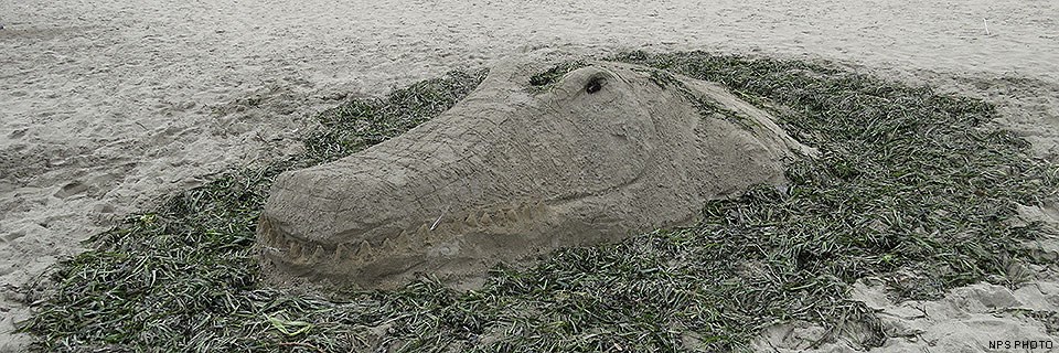 A sand sculpture of an alligator's head, surrounded by seaweed.