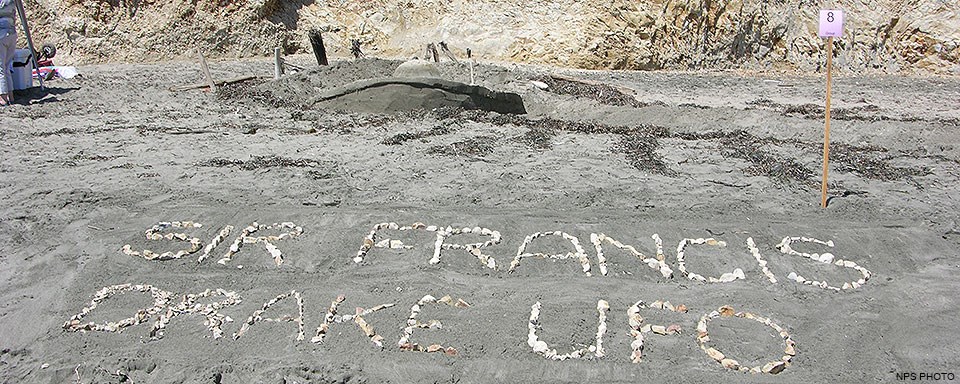 A sand sculpture of an unidentified flying object that has crashed in the sand.