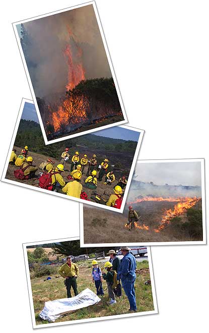 Four images relating to Fire Management at Point Reyes: a wildfire burning vegetation, a fire crew being briefed, a firefighter with a drip torch lighting a controlled burn, and children learning about a personal fire shelter.