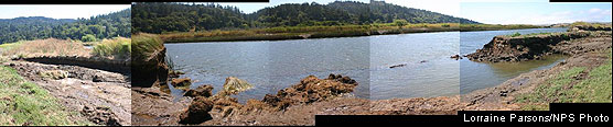 Breach in levee caused by high tides on the evening of July 2, 2008.