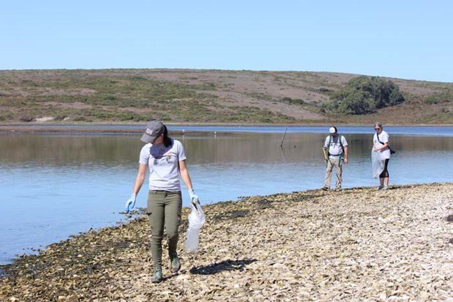 Three volunteers clean up litter along the Drakes Estero shoreline