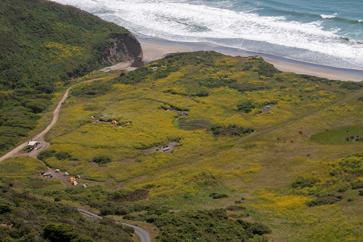 An aerial photo of a campground next to the ocean, a dirt road lead into a small lot with a few tents and an outhouse amongst green shrubs and yellow flowers.