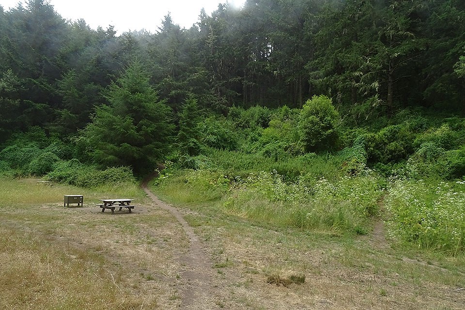 Dirt paths in a wooded campground lead past a picnic table.