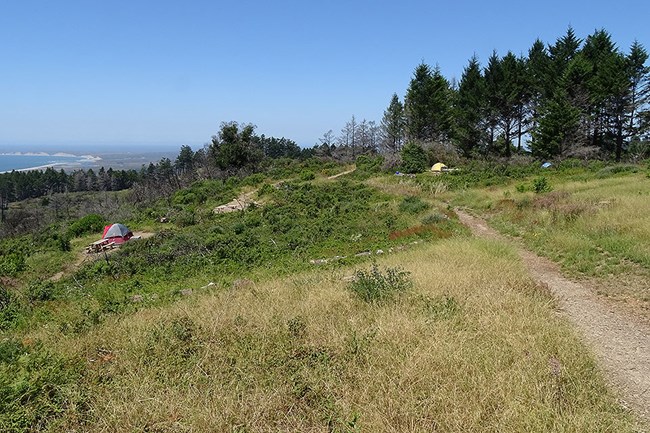 A trail leads through grass and shrubs towards a few campsites with a view of the ocean on the left.
