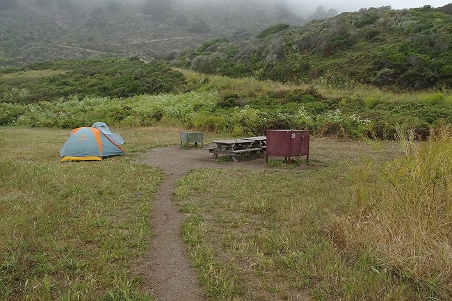 A campsite with two two-person tents, two wooden picnic tables, two food storage lockers surrounded by tall annual weeds at the base of a hill.