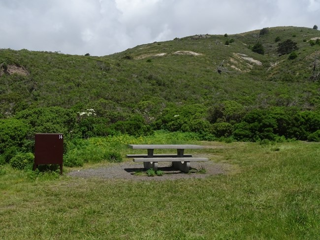 A brown food storage locker and a gray concrete picnic table in a grassy campsite.