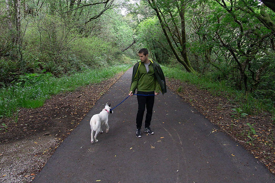 Good walking trails clearance for dogs near me