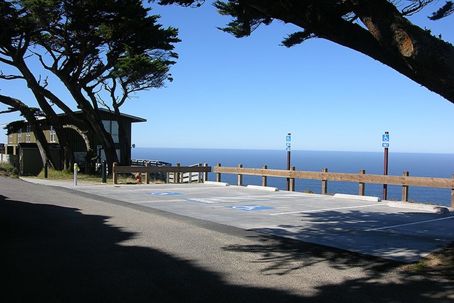 A concrete parking pad with accessible parking signs. In the background on the left is a two-story-high green building. In the upper right corner of the photo is a large branch.