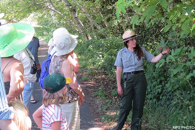 A female ranger gestures toward some red berries while talking with visitors on a ranger-led program.