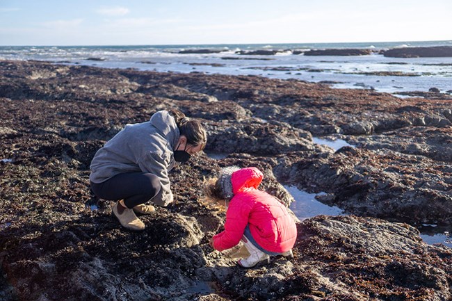 A woman and a young child bend over and look at a tidepool.