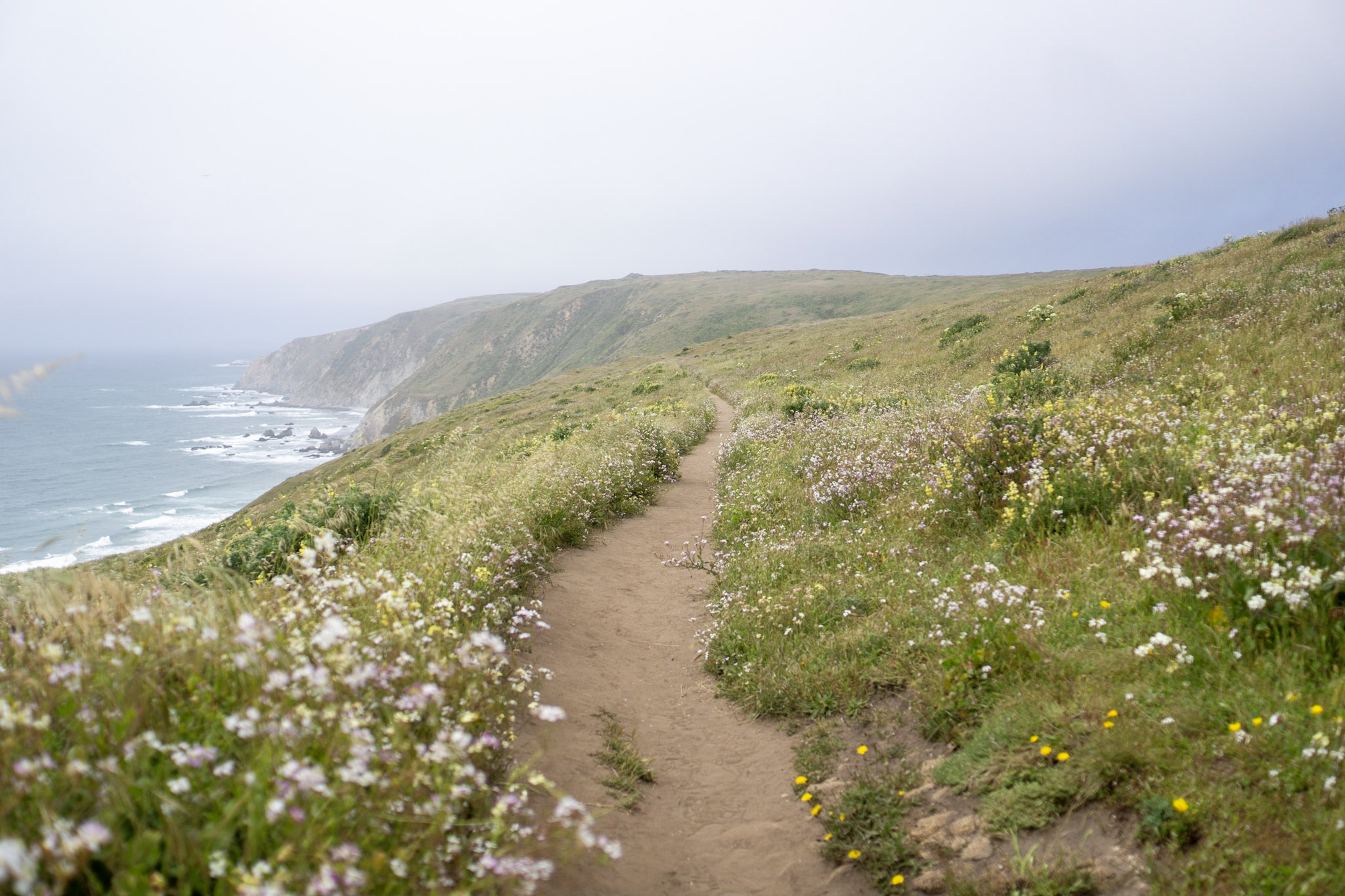 Best hikes online at point reyes