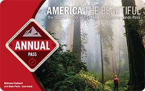 Image of the 2021 Interagency Annual Pass, which features a female hiker standing in a mist-shrouded redwood forest.