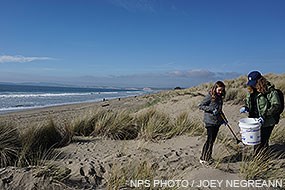 Beach Cleanup Volunteers at Limantour Beach on January 16, 2017.