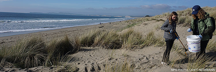 Beach Cleanup Volunteers at Limantour Beach on January 16, 2017. Beach Cleanup Volunteers at Limantour Beach on January 16, 2017.