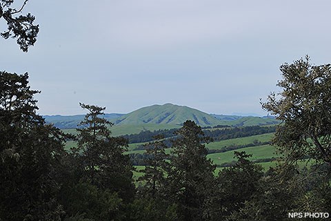 A grass-covered hill is visible in the distance, framed by trees in the foreground.