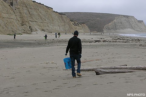 California Coastal Cleanup Day - Point Reyes National Seashore (U.S.  National Park Service)