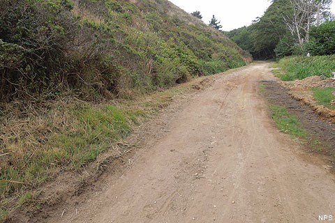 The Coast Trail ~1 mile south of the Hostel on August 24, 2012, after floodwaters had retreated.