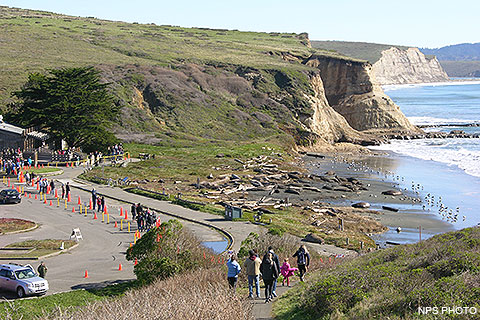 Seal Rock Campground Weather Viewing Elephant Seals Point Reyes National Seashore U S National Park Service national park service