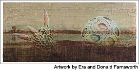 Detailed microscopic images of two types of diatoms overlaid on an image of pages from an old book.