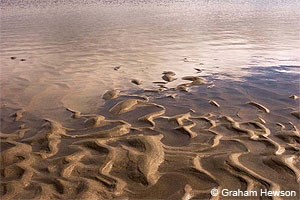 Photo of ripples of sand at the tide's edge. © Graham Hewson