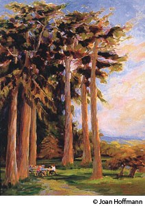 A color painting of giant sequoias rising above a few people standing on a path leading into the forest.