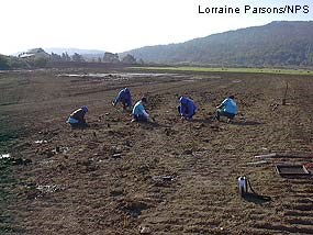 Giacomini Wetland volunteers.